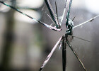 broken glass