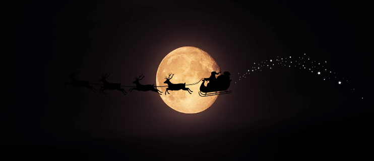 Santa's Sleigh