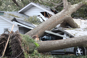 storm damage to property