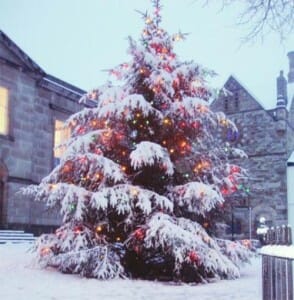 xmas tree