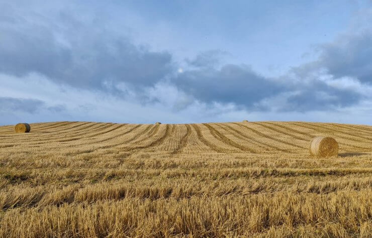 Arable Land