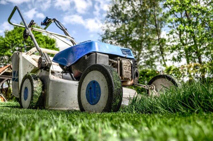 Gardening Business