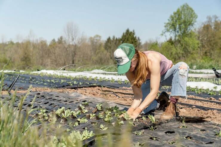 Gardening Business Tips