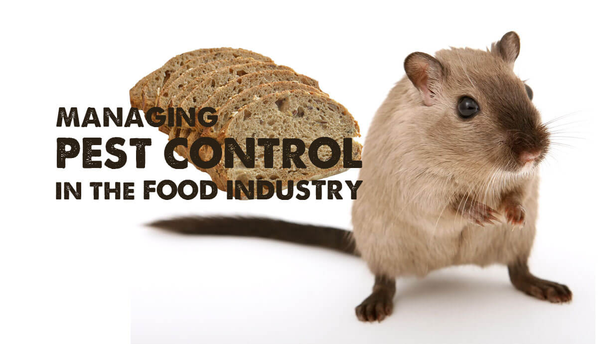 Managing Pest Control in the Food Industry | Ashburnham Insurance
