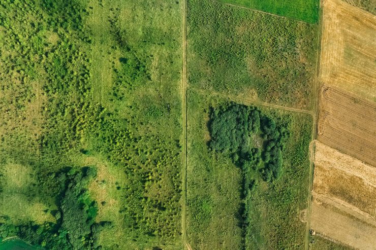 Vacant Land