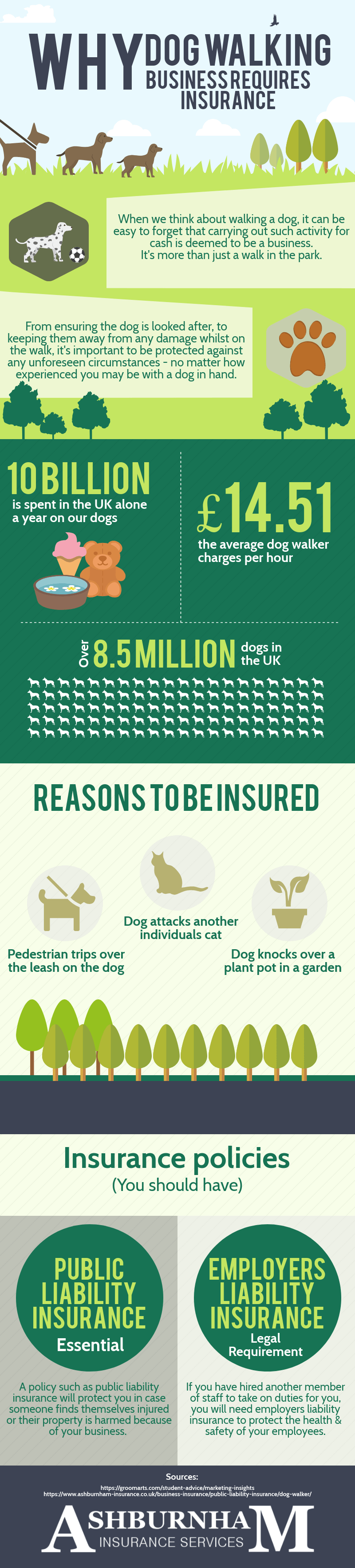 Why Dog Walking Business Requires Insurance Infographic